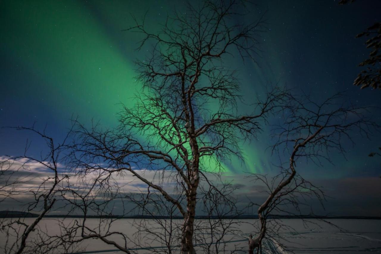 Lapland Dream Villas Rauhala Kültér fotó