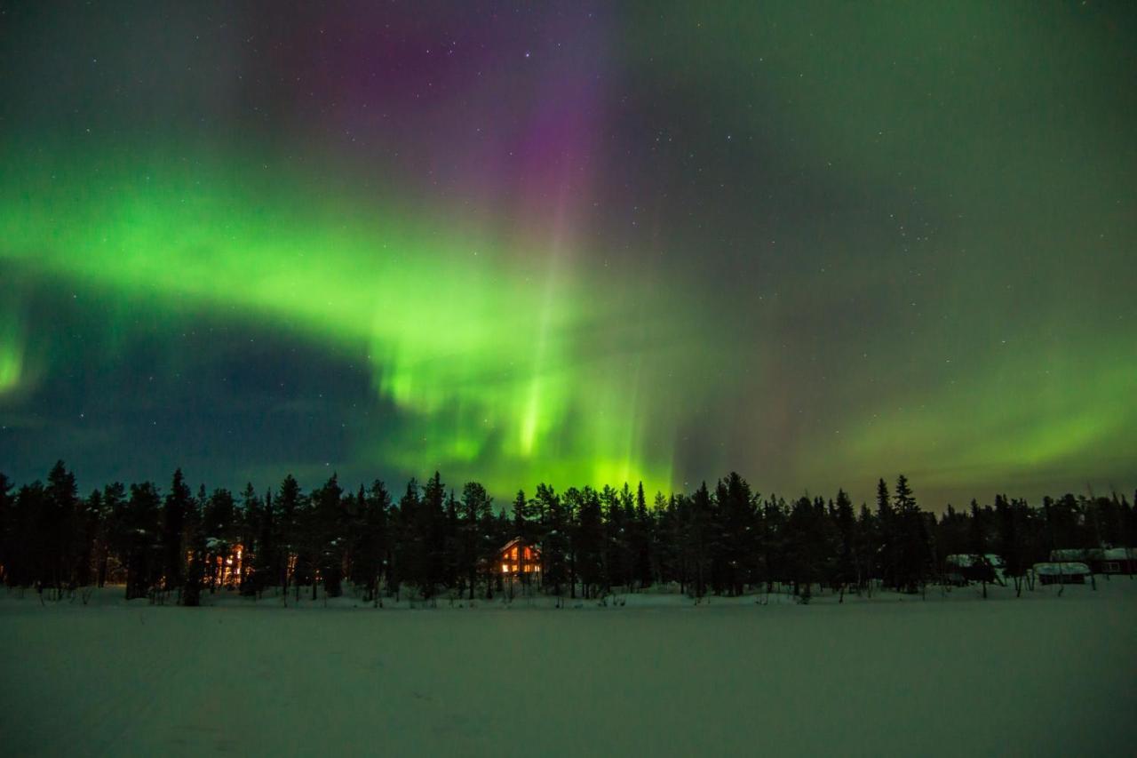 Lapland Dream Villas Rauhala Kültér fotó