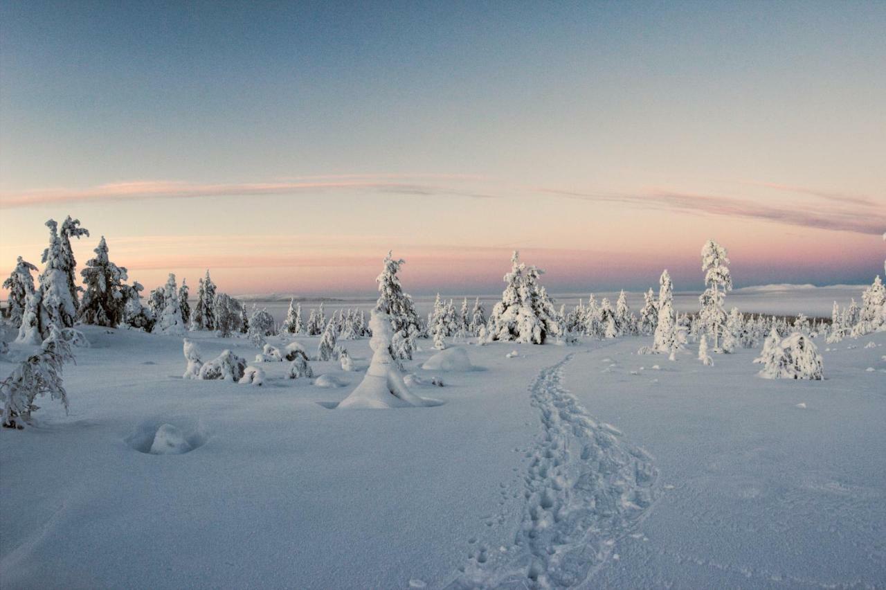 Lapland Dream Villas Rauhala Kültér fotó